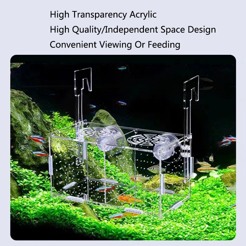 Acrylic Transparent Ornamental Betta Fish Isolation Boxes Wall-mounted Adsorption Incubator box Aquarium Breeding Fish Tank fish breeding box