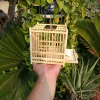 Grasshopper Cage, Bamboo Single Grid, Pure Handmade Bamboo Woven Cage, Classic Insect Crawling Tool with Drawer 3