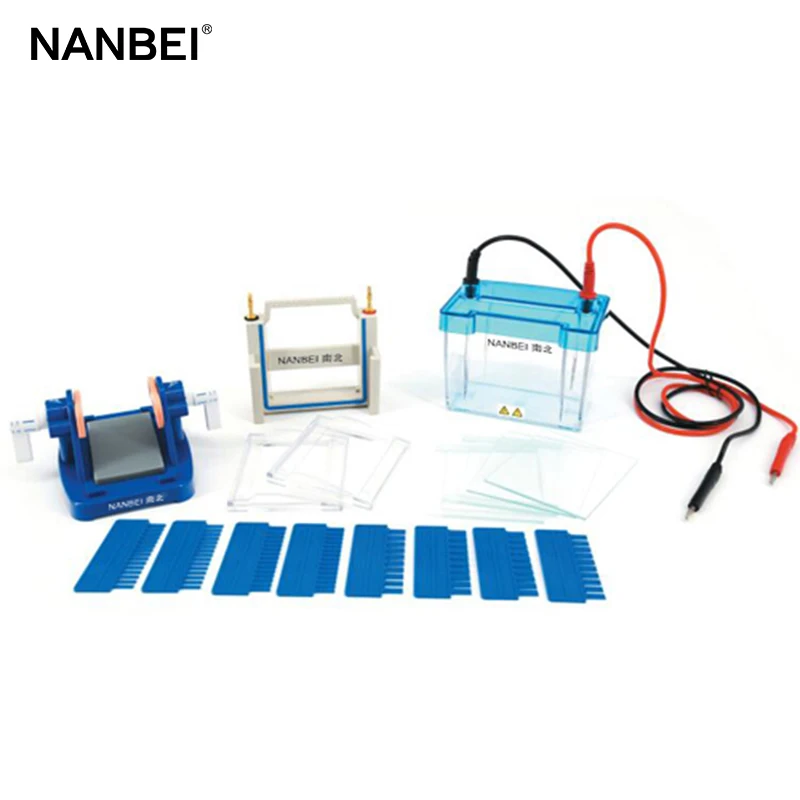 IEF SDS 페이지 polyacrylamide genotype 기계 세미 통 젤 전기 영동 장치 가격