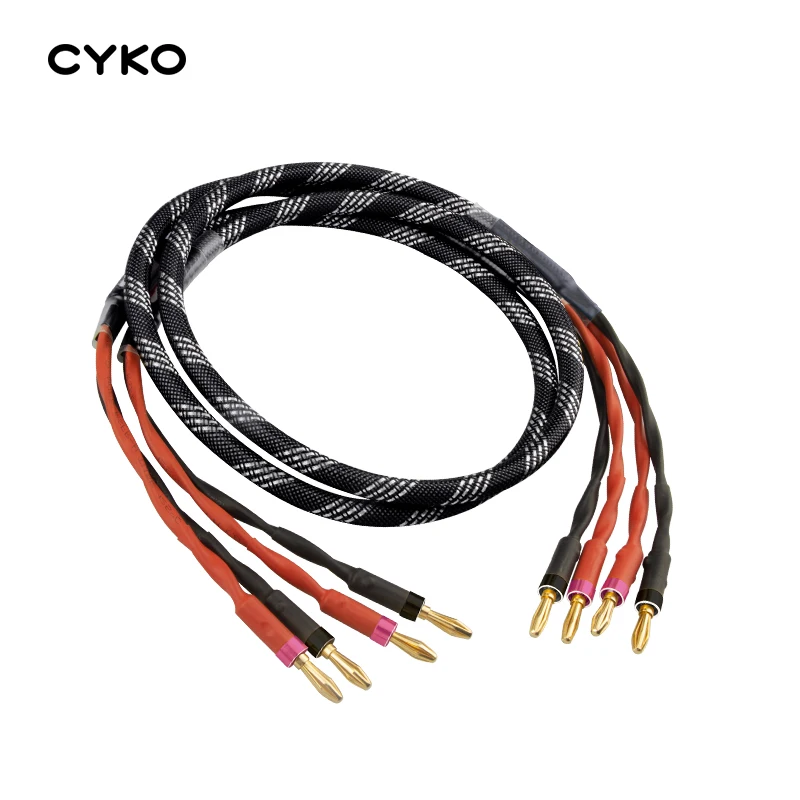 CYKO-Ŀ  ̺, hifi 6N ofc   ̺,  , ͼ Y ÷, ٳ, 