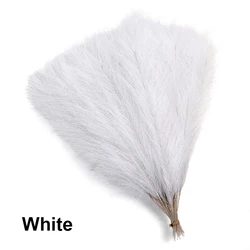Artificial Pampas Grass Flower Bouquet - 20 Piece Set for Elegant Home and Wedding Decor (White)