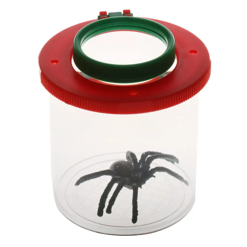 Magnifying Glass Cup Box Insect Toy Gift