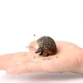 Hedgehog-6