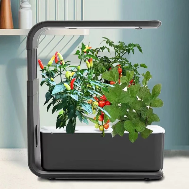 3-12 Hüvelyek Hidroponikus Termesztési Rendszer Beltéri Gyógynövénykerti Készlet Led Grow Light Smart Intelligens Csírázás Ültetvény, Ciklus Időzítéssel - Image 6