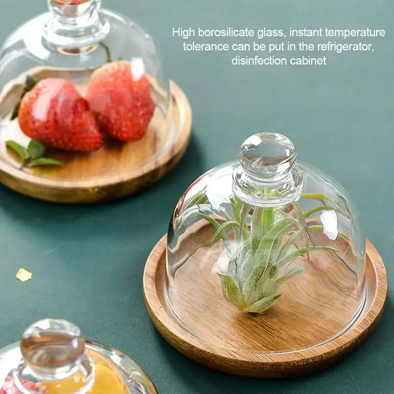 

Cake Stand with Glass Dome Mini Dessert Serving Dish Box Container Cheese Server Storage Keeper Tray With Lid Kitchen Dinnerware