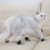 Cat Socks Anti-Scratch Protective Cats Shoes Soft Breathable Home Pet Booties With Secure Velcro Fit Noise Free Pet Supplies