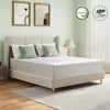 Full set mattress, 8-inch mattress, suitable for platform bed double sofa bed, memory foam medium hardness mattress 2