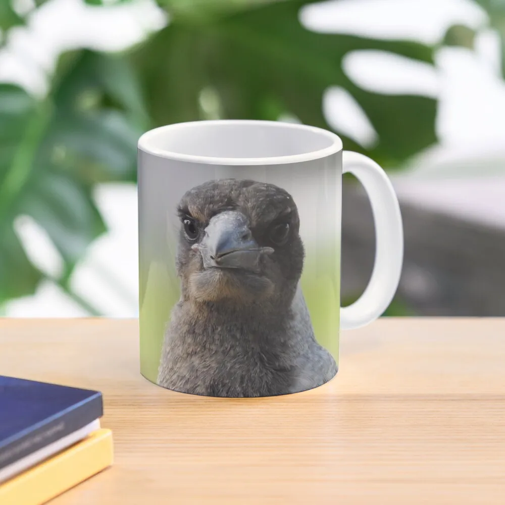 

Young Australian Magpie Coffee Mug Aesthetic Cups Thermo Cups To Carry Mug