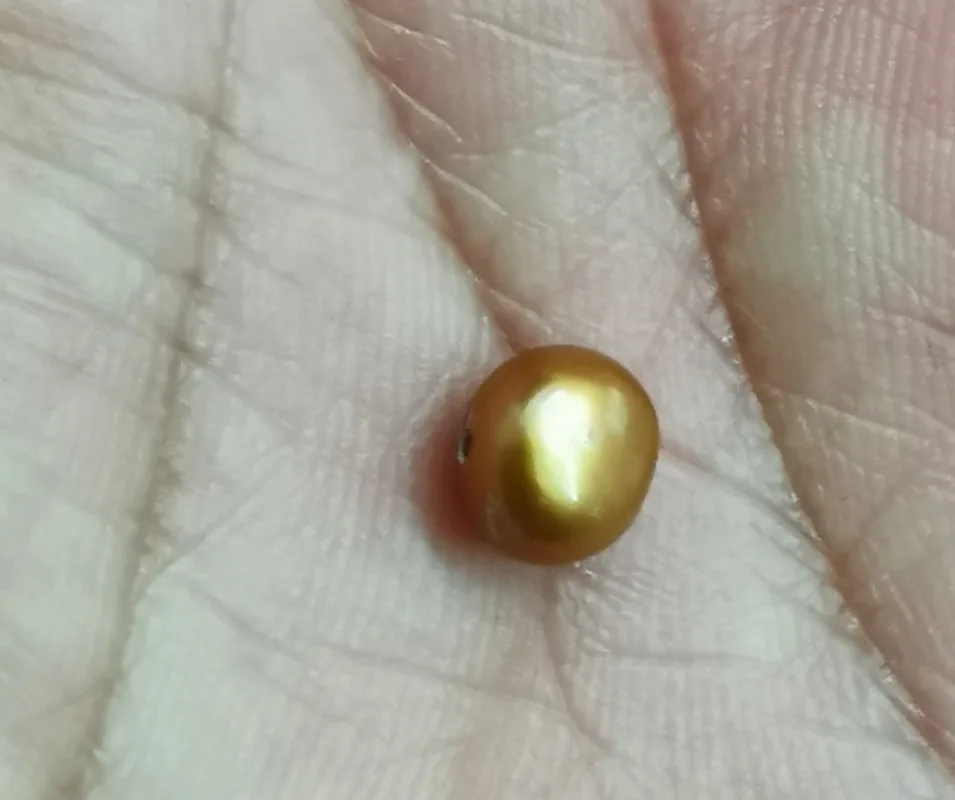 Around 7.12x4.811mm champagne gold bottom loose pearl full drilled for necklace earring bracelet pendant