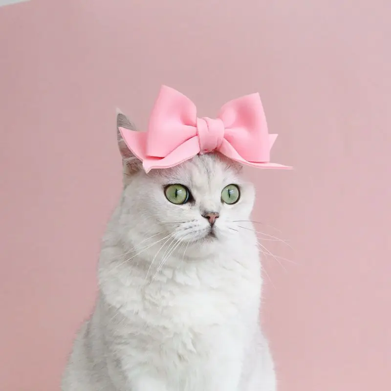 Title 6, Cat Accessories Party Cat Headdress Wear Puppy ...