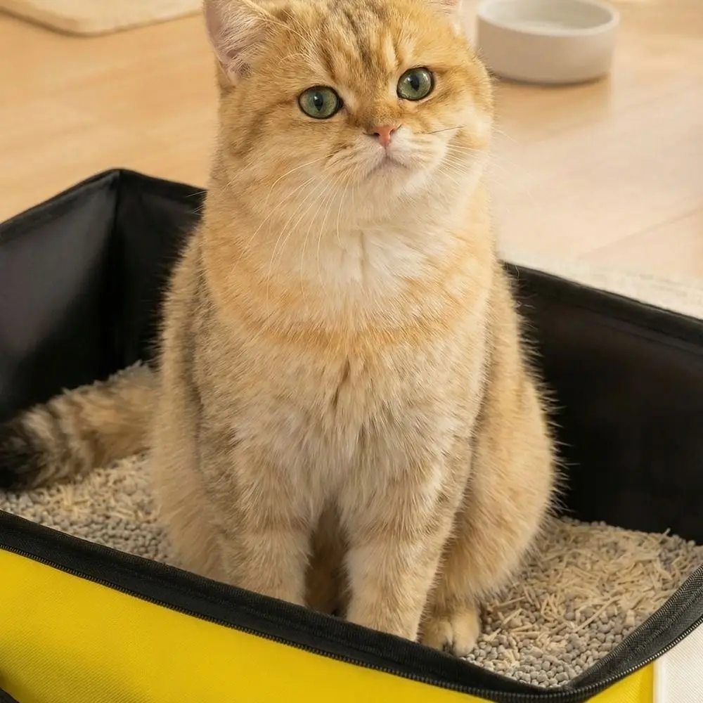 옥스포드 천 접이식 고양이 화장실 대용량 방수 휴대용 애완동물 변기 지퍼 뚜껑 포함 직사각형 이동식 고양이 화장실