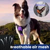 Medium Large Dog Collars Harness Big Vests Harness for Dog Pet Shop Everything for Dogs Small Dogs Harness Puppy Accessories 3
