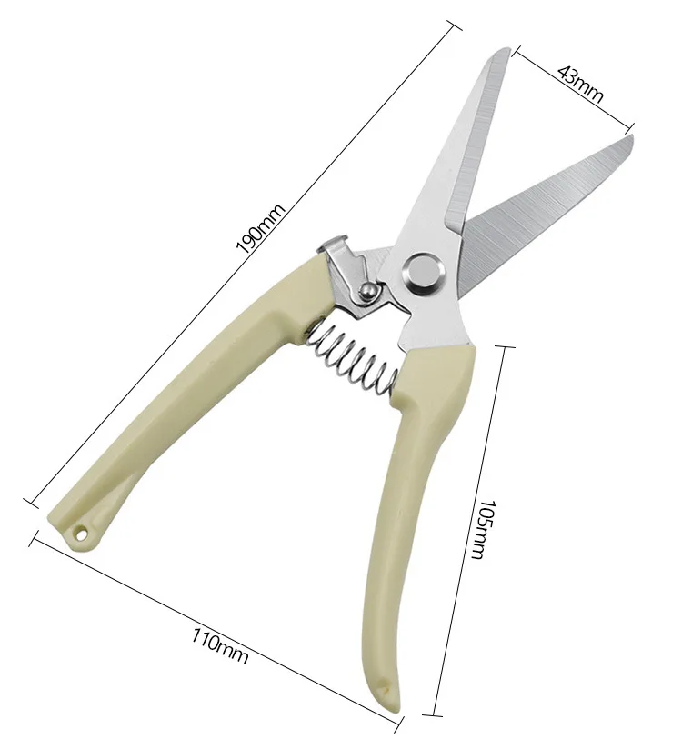 Sécateur De Vergers Et Outils À Main De Jardin Bonsaï Pour Ciseaux De  Jardinage, Machine À Découper, Sécateur, Débroussailleuse Professionnelle -  Élagage Outils - AliExpress