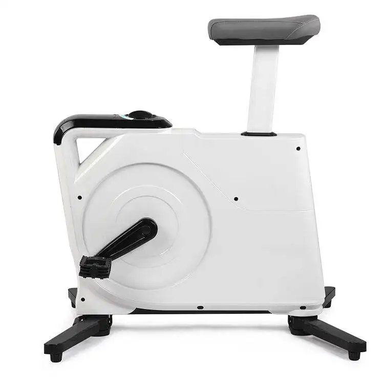 Maketec Max Load 110kg Mini Indoor Exercise Spinning Bike for Home Fitness
