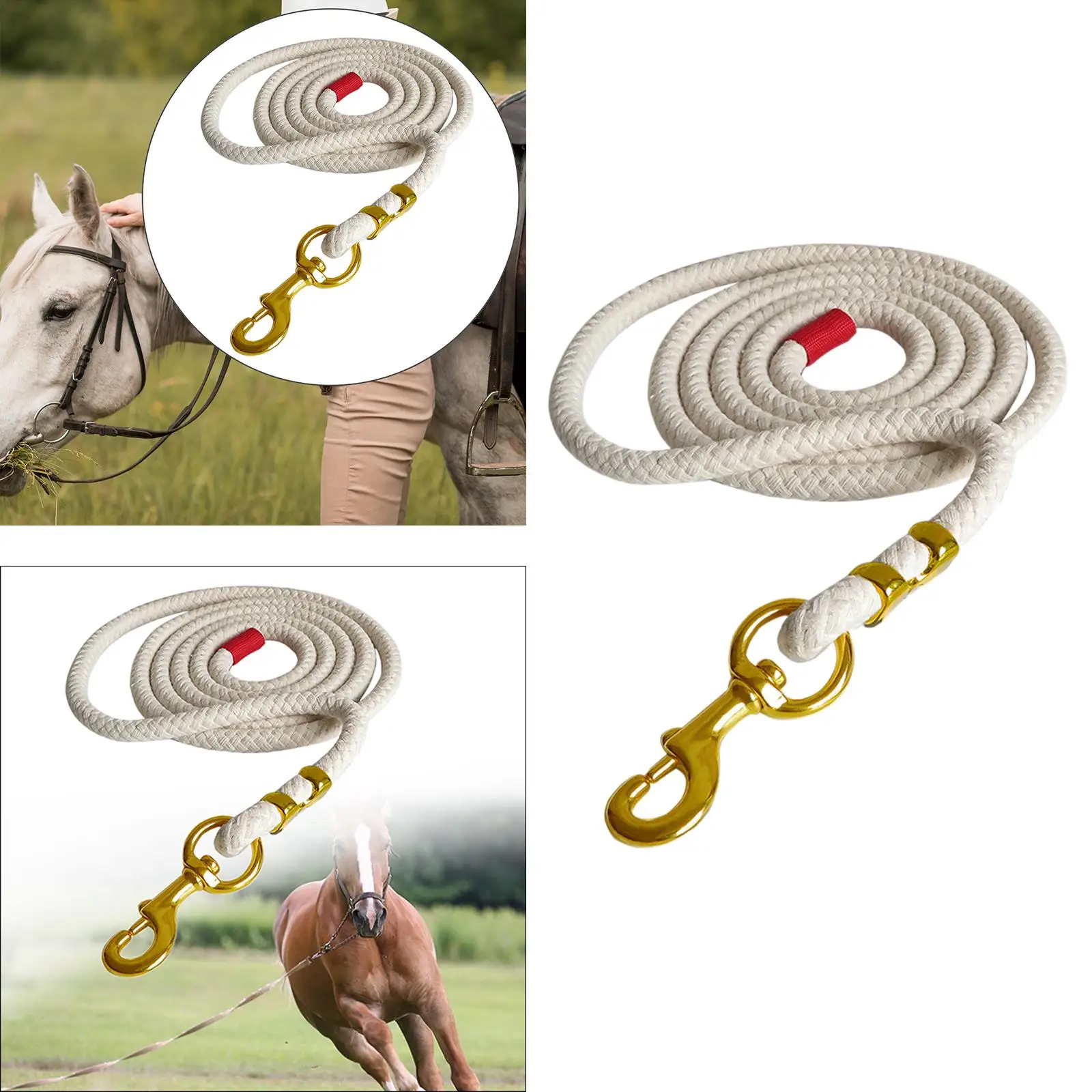 Horse Lead Rope for Leading Training Horse, Dog, or Sheep Heavy Duty Attaches to Halter or Harness Webbing Equestrian Lead Rope