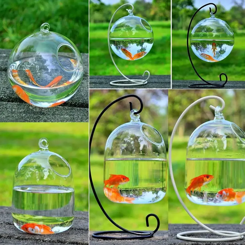 Aquarium Decoration Aquarium Decoration With Rack Holder Hydroponics Vase Wall Hanging Vase Ornament Fish Tank Hanging Glass Fish Bowl Bowl