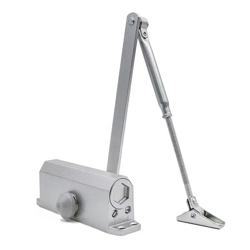 Automatic Door Closer 2 Spring Hydraulic Adjustable Door Stopper Speed Mute Closing 25 to 80KG Hardware