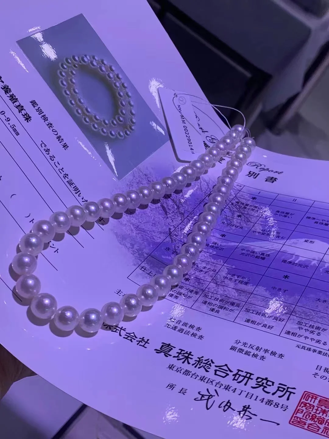 925 Sterling Silver Luxury Seawater Pearl Necklace 9-9.5mm Round Akoya Pearls Fashion Wedding Jewelry Accessories For Women