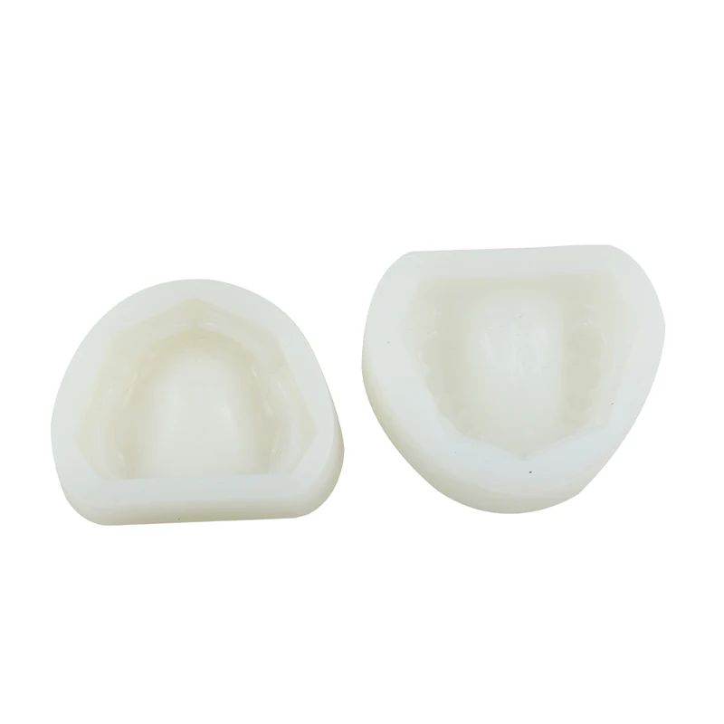 

Silicone Dental Mold Mould of Edentulous Jaw Complete Cavity Block Dental Materials Dental Instrument