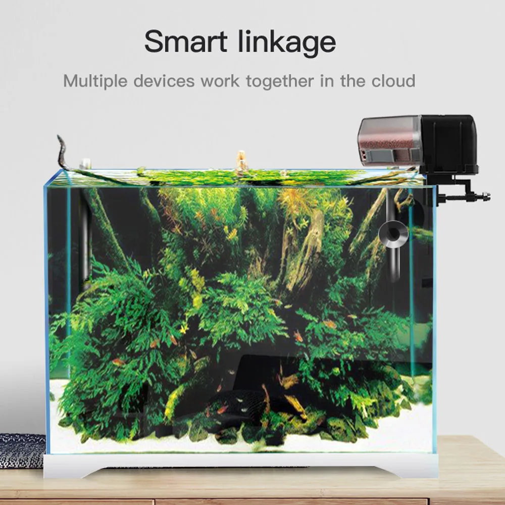 Stunning Alexa Controlled Aquarium image