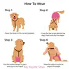 S5bf1e87c74254ac1ab78ba04f6669c6fH.jpg Adjustable Dog Diaper Suspenders for Pet Sanitary Pantie Comfortable Non-Slip Puppy Nappy Suspender Belly Bands for Pets