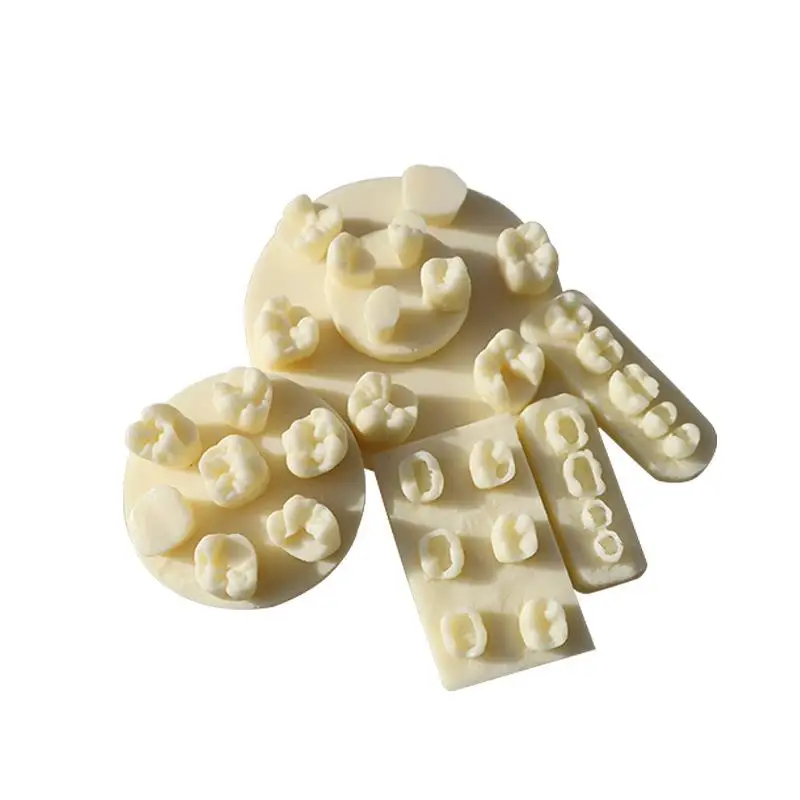 1PCS 레진 치아 형태학 연습 모델 치근관 충전 인레이 레진 모듈 치과 교육 훈련용 레진 모델 도구