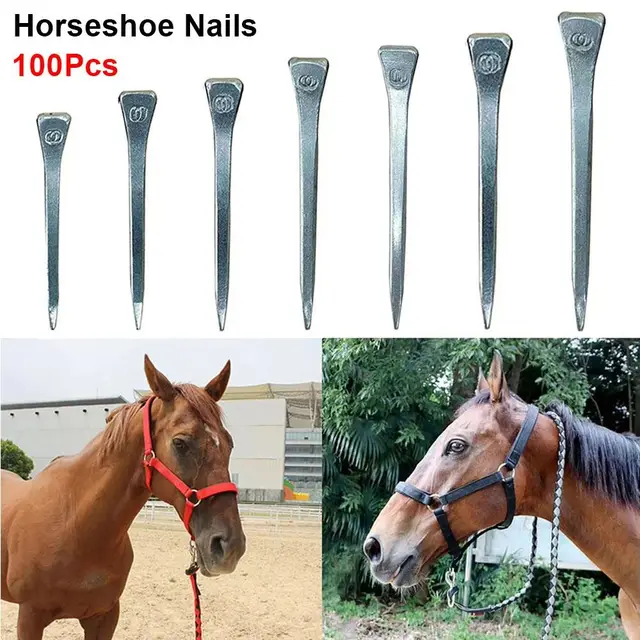 100Pcs Durable E2/E3/E4/E5/E6/E7/E8 Horseshoe Nails Steel Harness Repair Horse Shoe Nails Hoof Nails Equestrian Sports Equipment 5