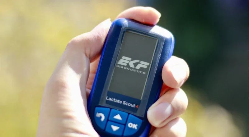 

Free shipping fast Lactate Scout detector meter and test strip
