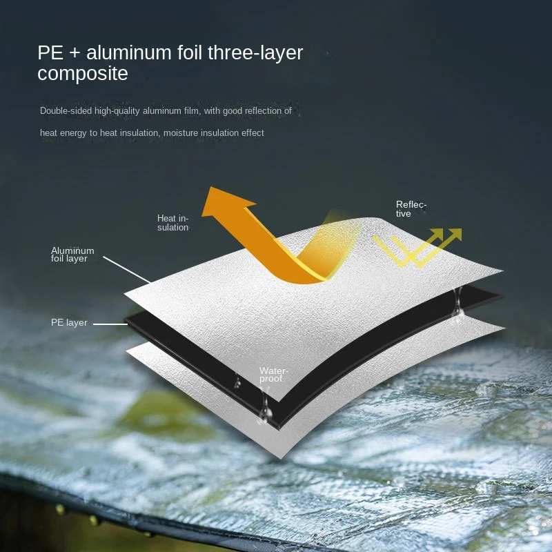 ���� ���� ��� �߿� ķ�� ���� ���� ���� óġ, �߿� ���� �¾� ��ȣ ���� ���