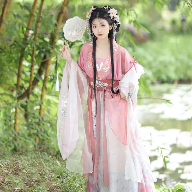 Robe Hanfu traditionnelle chinoise pour femmes, broderie de prairie, costume de danse folklorique de scène, rétro, dynastie Song, violet Ha, nickel é