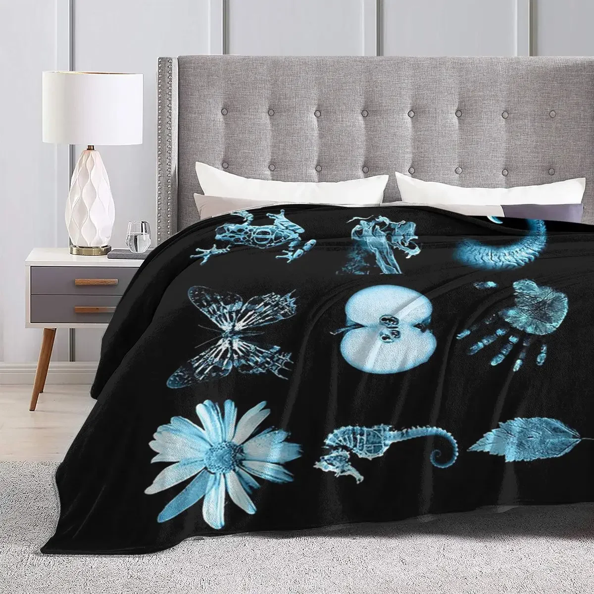 ������ ����� ��� 9 �۸���, �ε巴�� ������ �ö��� ������ ���, ħ��� ħ�뺸, �Ž� ��ũ�� ���� Ȩ ����