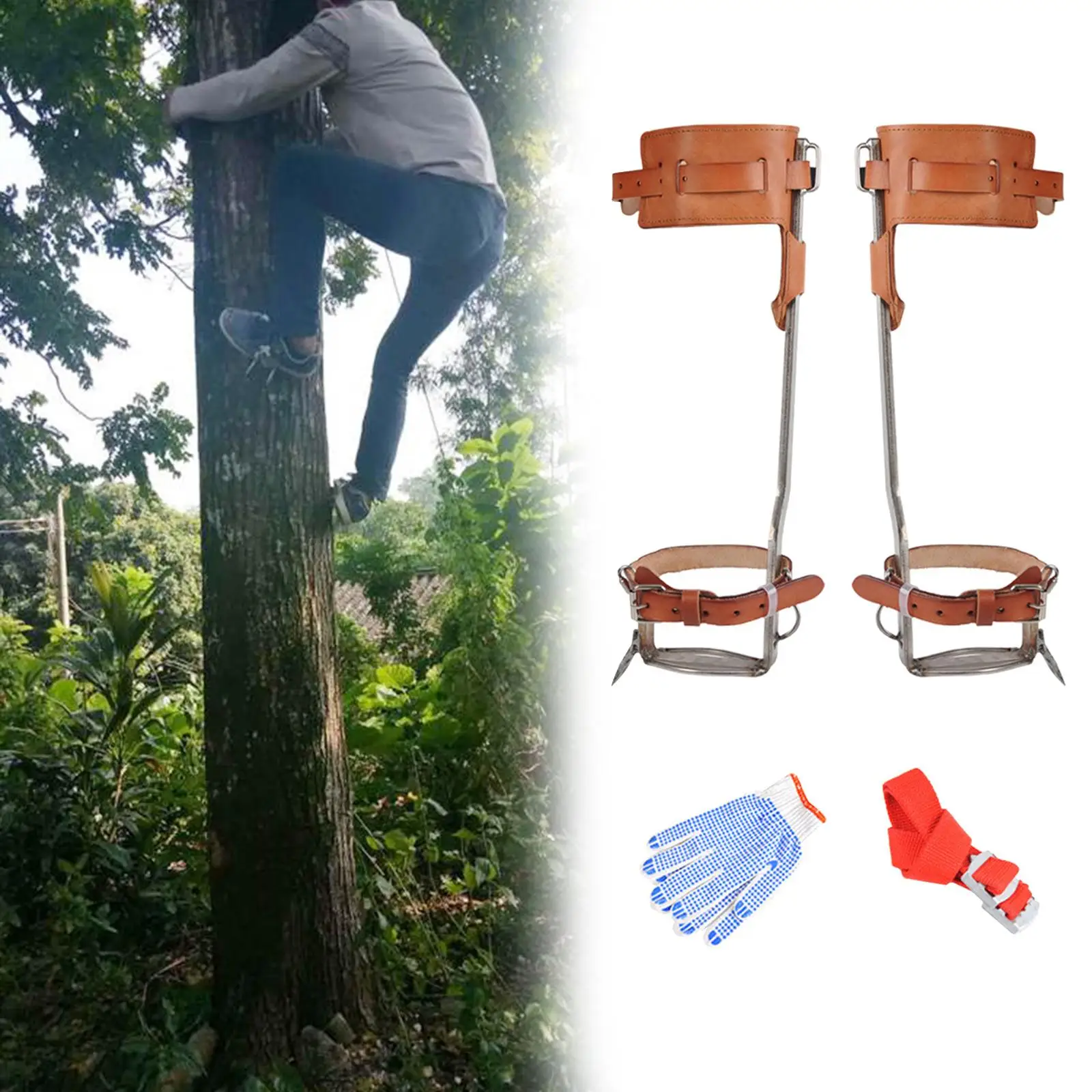 Climbing Tree Spikes Leather Belt Steel Step Spur Tool Suitable for High Altitude Logging Fruit Picking Hunting Equipment
