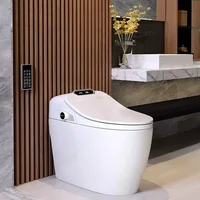 Ceramic Automatic Sanitary Waterless Toilet Electronic Intelligent Closestool Night Light Smart Toilet WC Toilet Bowl 2