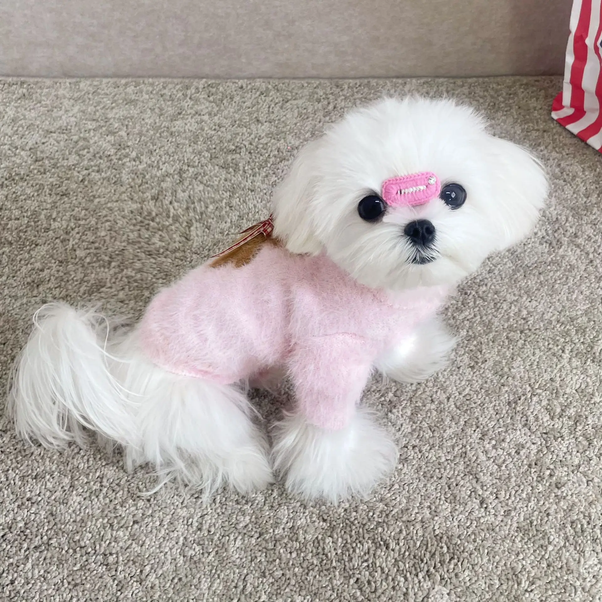Dogs cats imitation sable thickened warm jumper small and medium-sized dog clothing