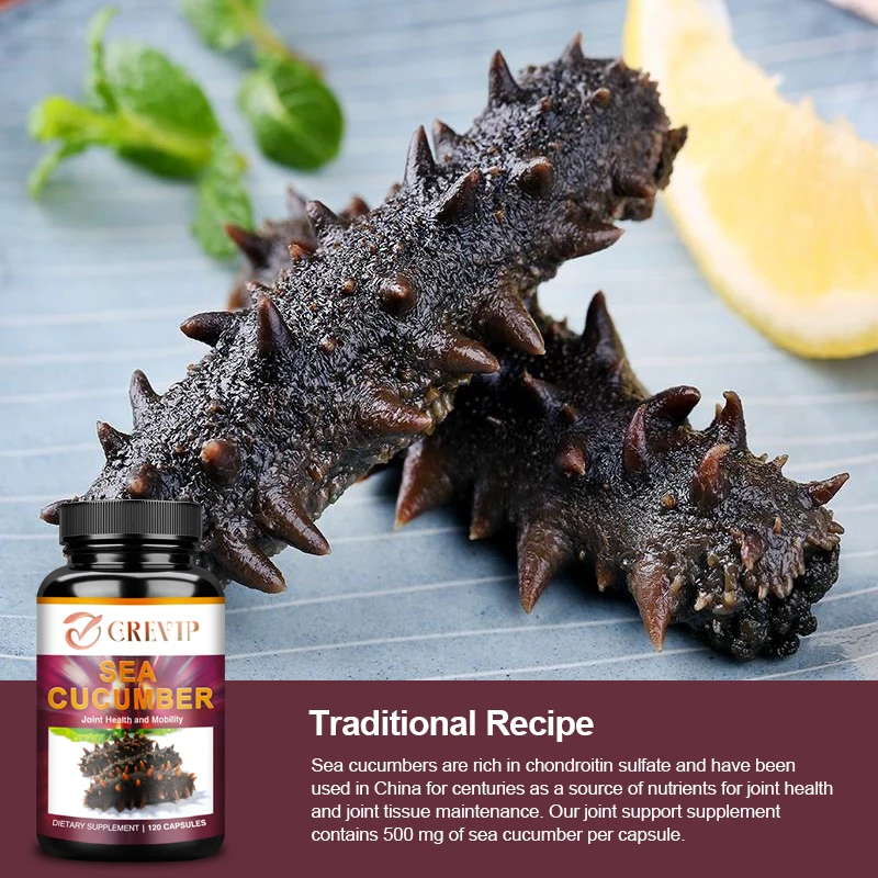 Sea Cucumber Natural Supplement Promotes Joint Health Cartilage Protection