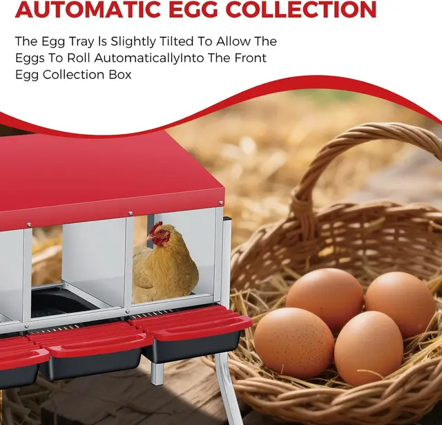 Multi-Compartment Metal Chicken Nesting Box With Automatic Roll-Out Egg Collection