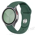 Pine green-21