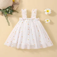 2024 New Baby Girl Clothes Multi Coloured Embroidered Floral Mesh Camisole Cute Baby Girl Dress Party Princess Fluffy Dresses 4
