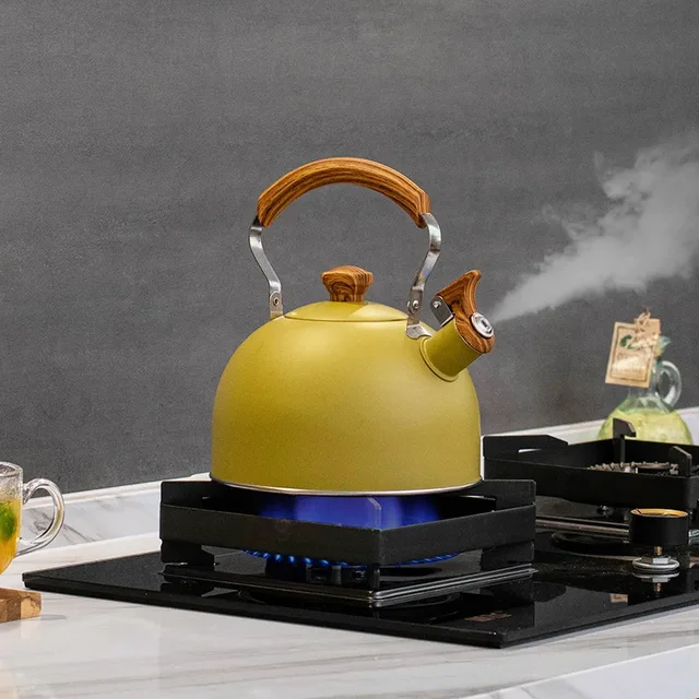 Bouilloire électrique à gaz touristique de 2,5 l avec sifflet, appareil de cuisine en acier inoxydable, théière de Camping, ustensiles de cuisine, ensemble de cuisine 1
