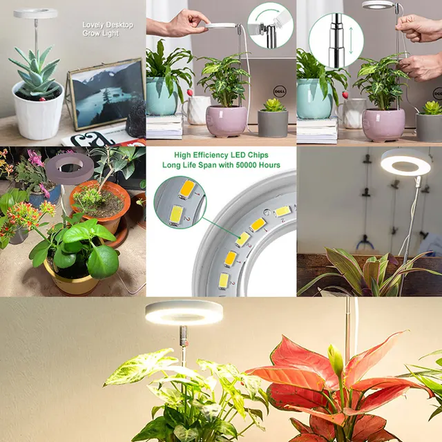 Kis Led -Es Növények Grow Könnyű, Kicsi Növénynövekedés Teljes Spektrum Usb Töltővel És Automatikus Időzítő Magasságával Állítható Növényi Halo - Image 6