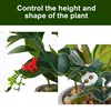 20-100PCS Plant Clamp Bending Device Flower Vine Branches Plant Stem Training Clips Plant Growth Bender Control Support Clamps 5