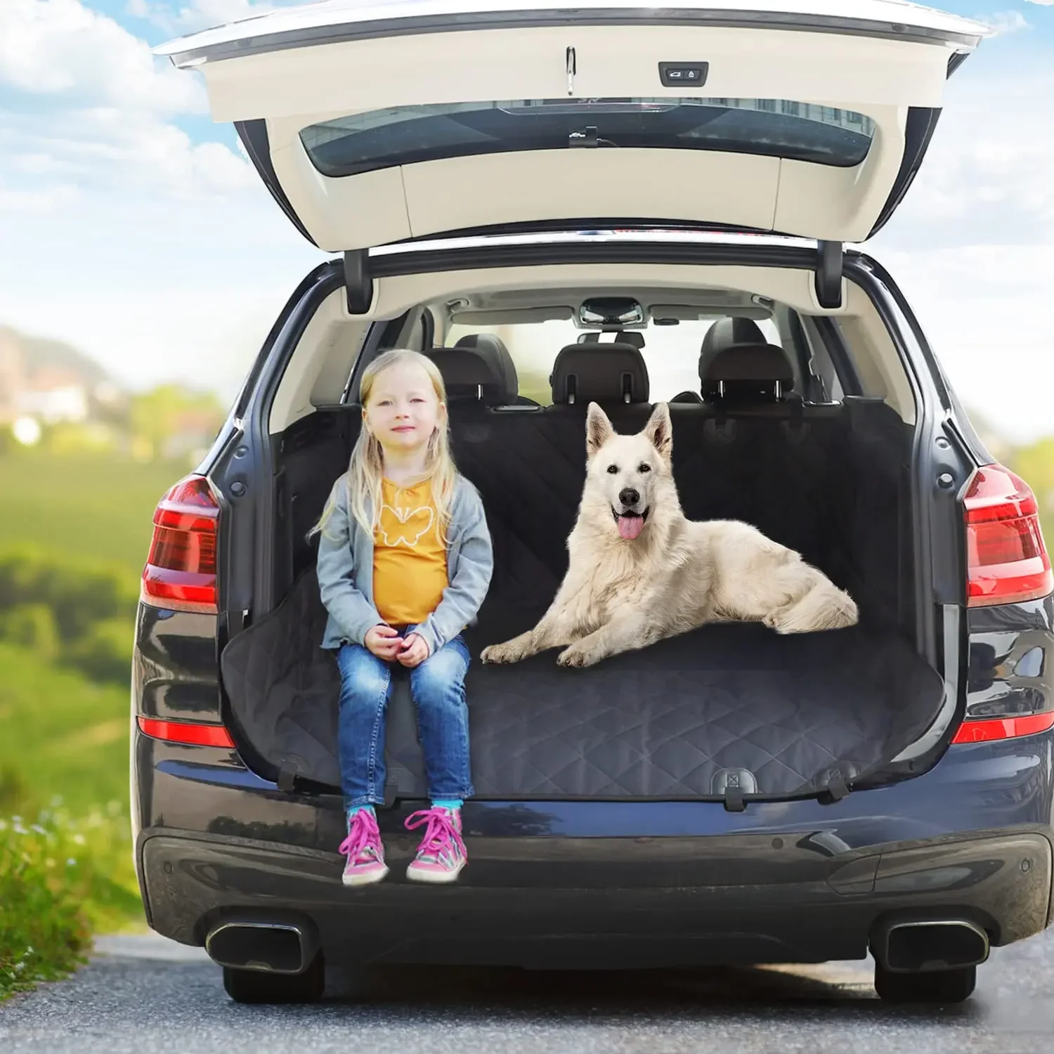 

Cover Pet Car Waterproof Cat Hammock Dog Back Seat For Rear Carrier Mat Protector Cushion Travel