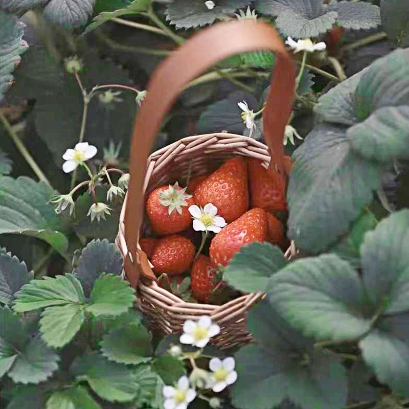 

Корзина для хранения из ротанга с ручкой, портативный органайзер для яиц с цветами и конфетами для украшения дома и сада, для