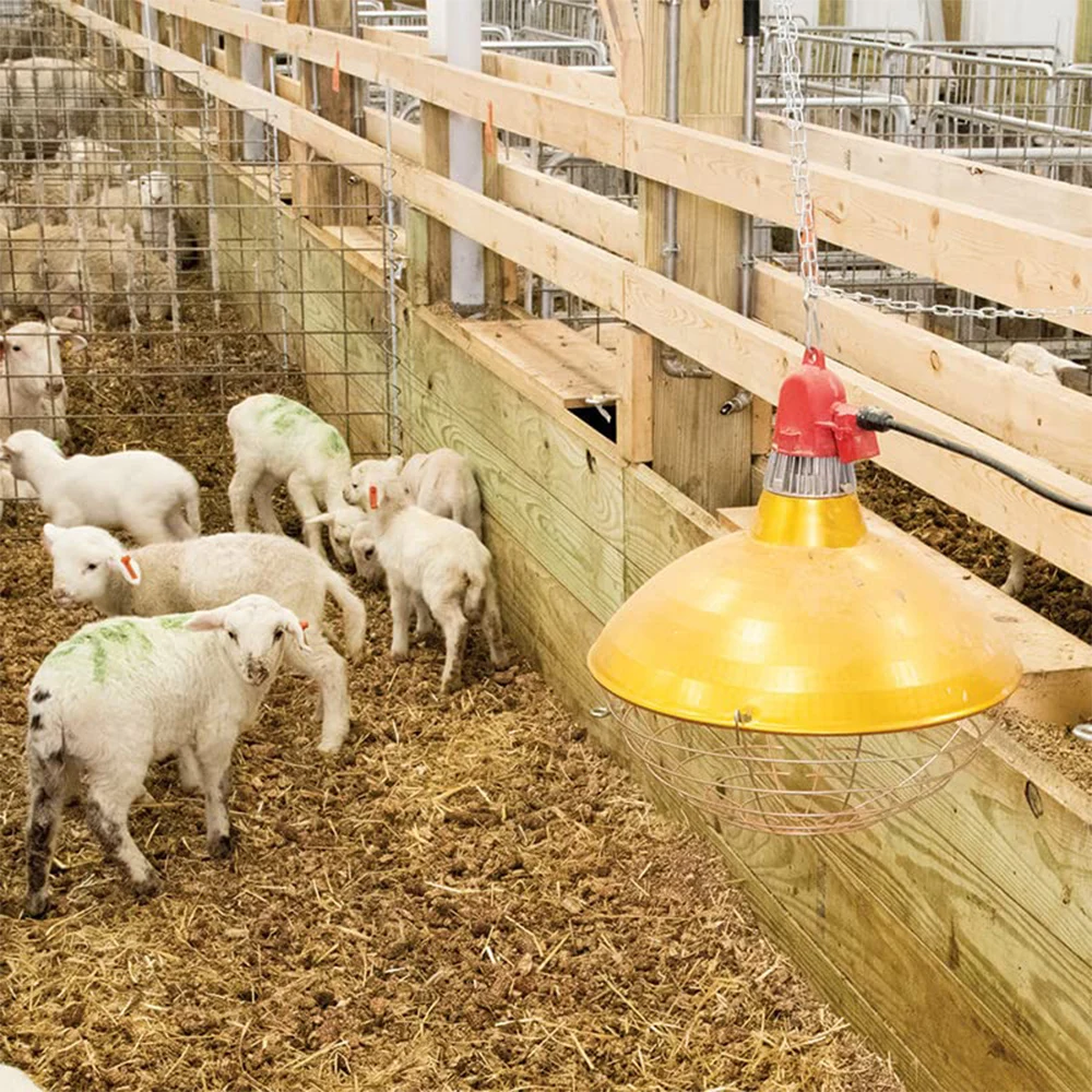 Livestock Poultry Breeding Lampshade Heating Lampshade 220V Insulation Thermal Insulation Equipment Breeding Supplies