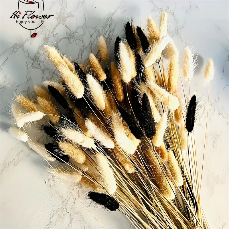 

100Pcs Dried Flowers Bunny Rabbit Tail Grass Bouquet Wedding Christmas Decoration Natural Pampas Autumn Home Decor Accessories