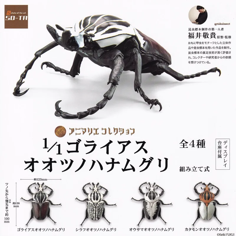 

SO-TA Gashapon Capsule Toy 1/1 Super Large Simulated Insect Beetle Table Ornaments Model Decoratoion Gacha Kids Gifts