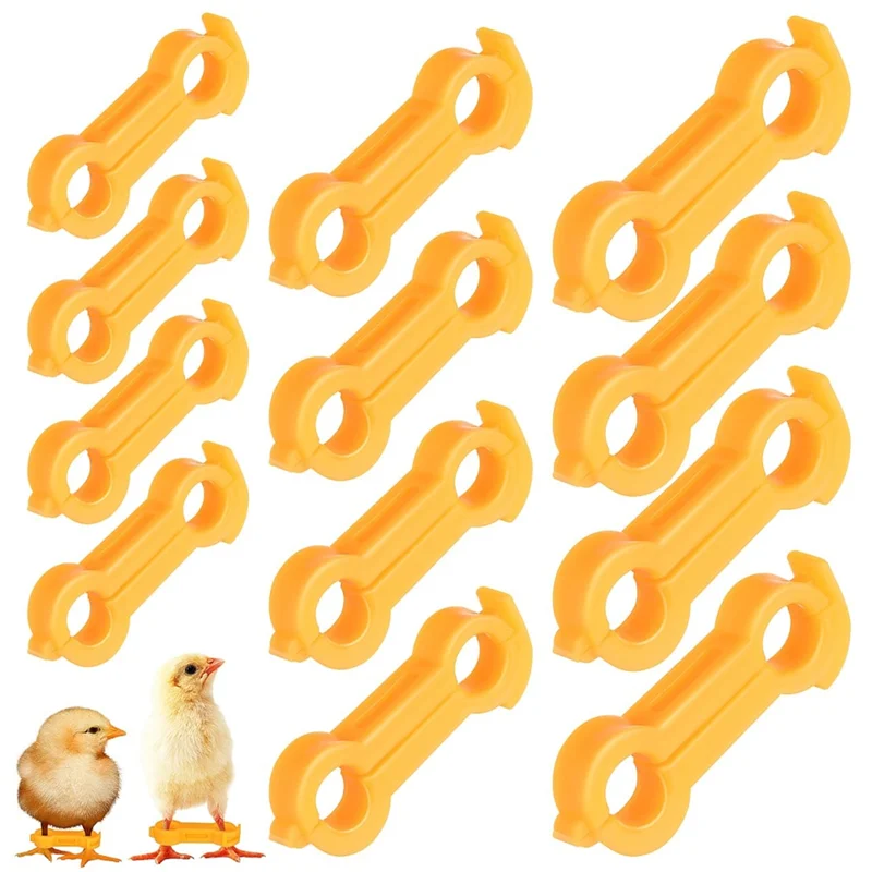 BQ-Baby Chick Splay Leg Hobble Brace, 12Pcs 치킨 호블 브레이스, 치킨 레그 호블, 가금류 다리 밴드