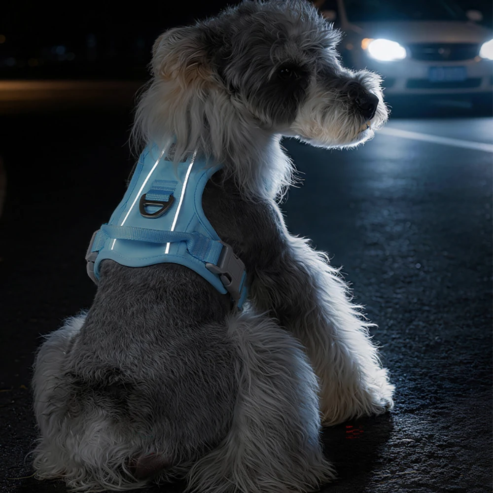 Premium Lightweight Dog Harness Breathable Mesh No-pull Pet Vest_voghion.com