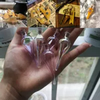 100pcs Felix Felicis Magical Potion Necklace Liquid Lucky Glass Vial Bottle Vintage Mix Color Pendant Movie Jewelry Wholesale 2