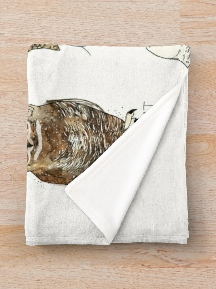 �û��� ���� ��� �м� ���� ���